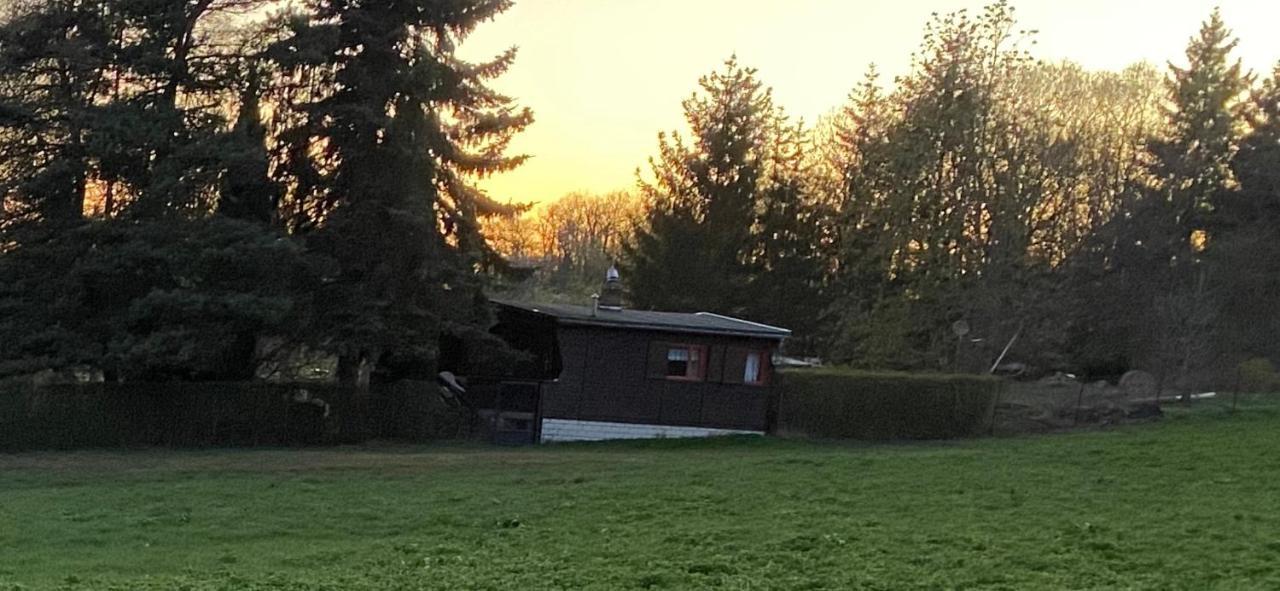 Ferienhaus Zittertal Neustadt Harz Haus I Villa Harztor Exterior foto