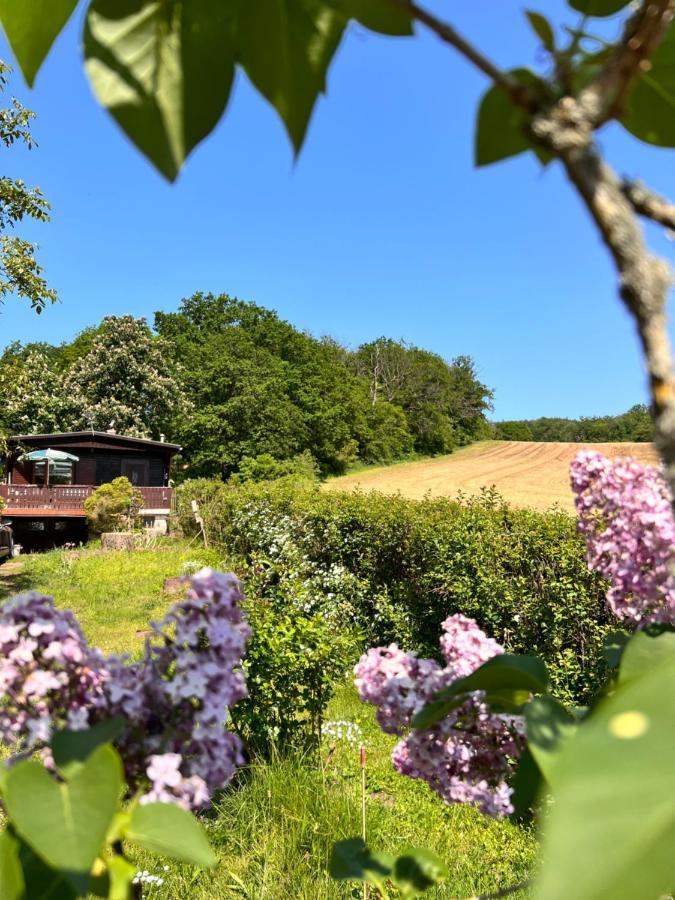 Ferienhaus Zittertal Neustadt Harz Haus I Villa Harztor Exterior foto